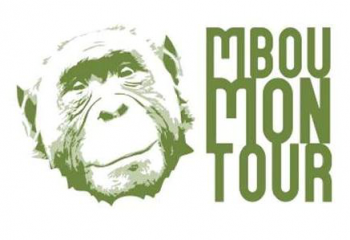 Découvrir les bonobos avec l’Association Mbou Mon Tour
