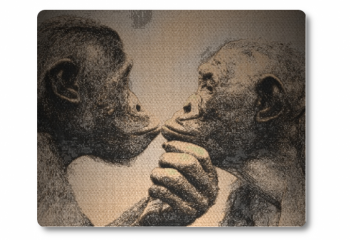 14 février - Bonobos day