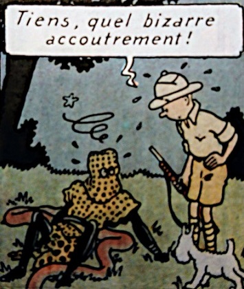 Tintin au Congo > Tintin et l'aniota : 