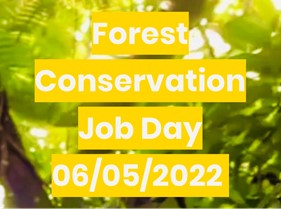 Kinshasa 6 mai 2022 - Forest Conservation Job Day