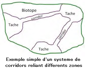 Exemple simple d'un système de corridors reliant différents zones