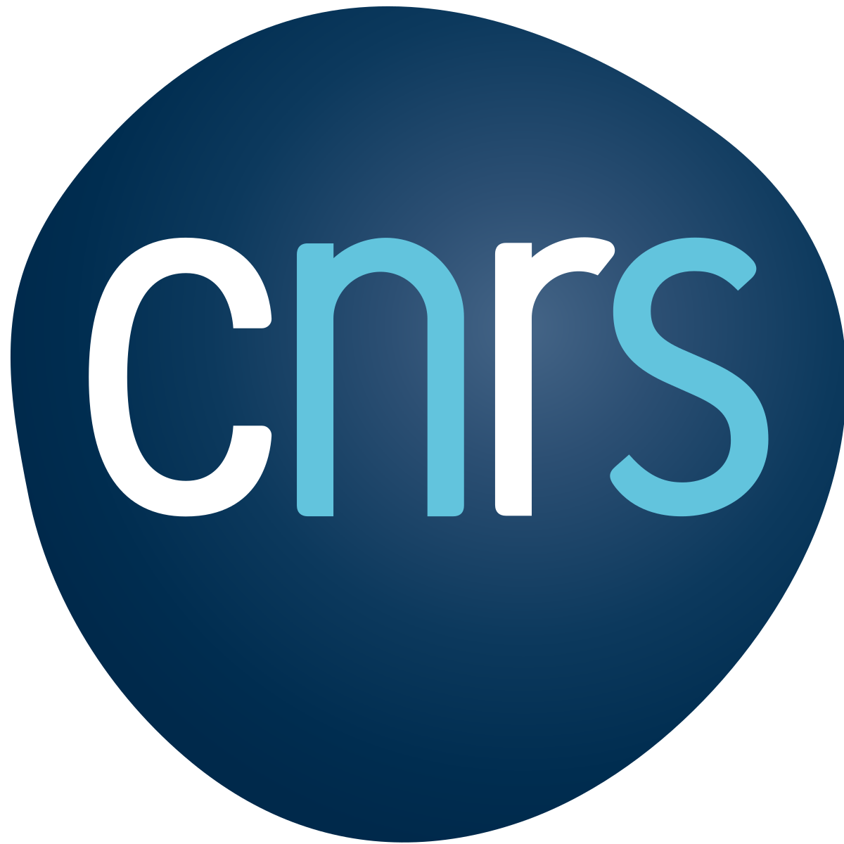 Centre National de Recherche Scientifique - Logo