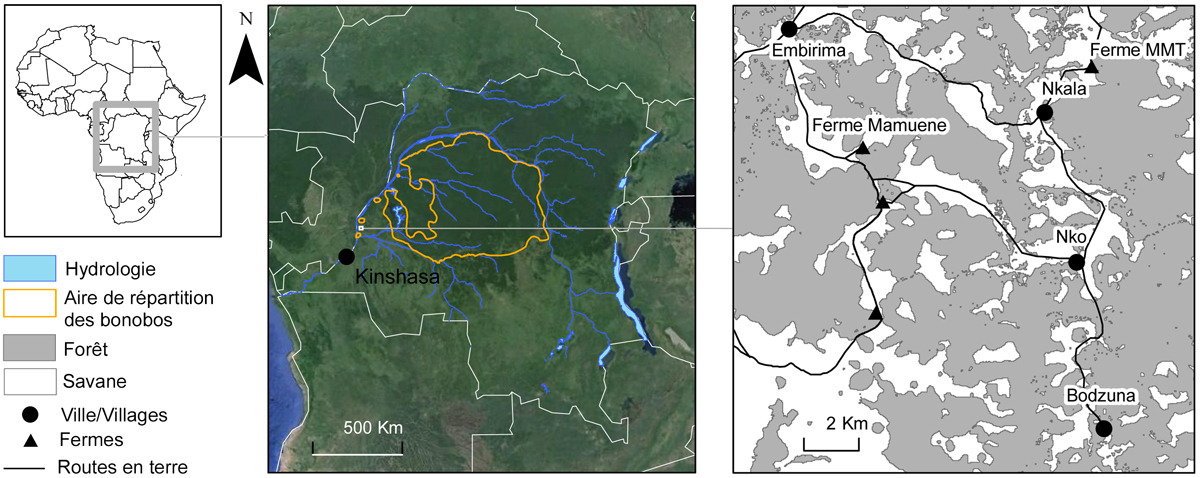 ONG M'bou Mon Tour - Localisation en RDC
