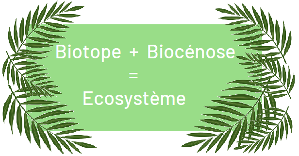 Biotope + Biocenose = Ecosystème