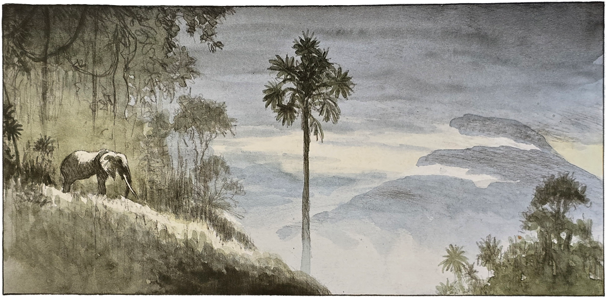 Africa Dreams T1 ©Casterman 2010 - L'éléphant