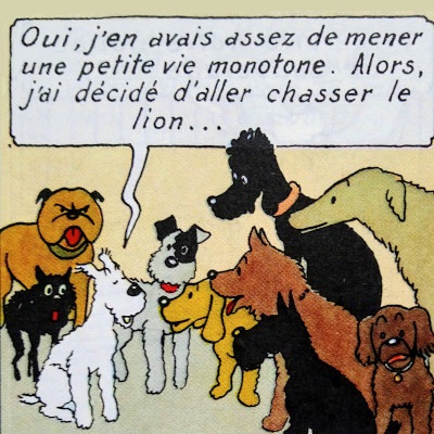 Tintin au Congo - Milou discute avec quelques amis avant le départ