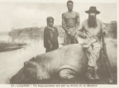 Hippopotame tué par un Frère de la mission de Loango (carte postale vers 1920)