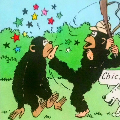 Tintin au Congo > Tintin se bat avec un chimpanzee ... Chic! (Hergé)